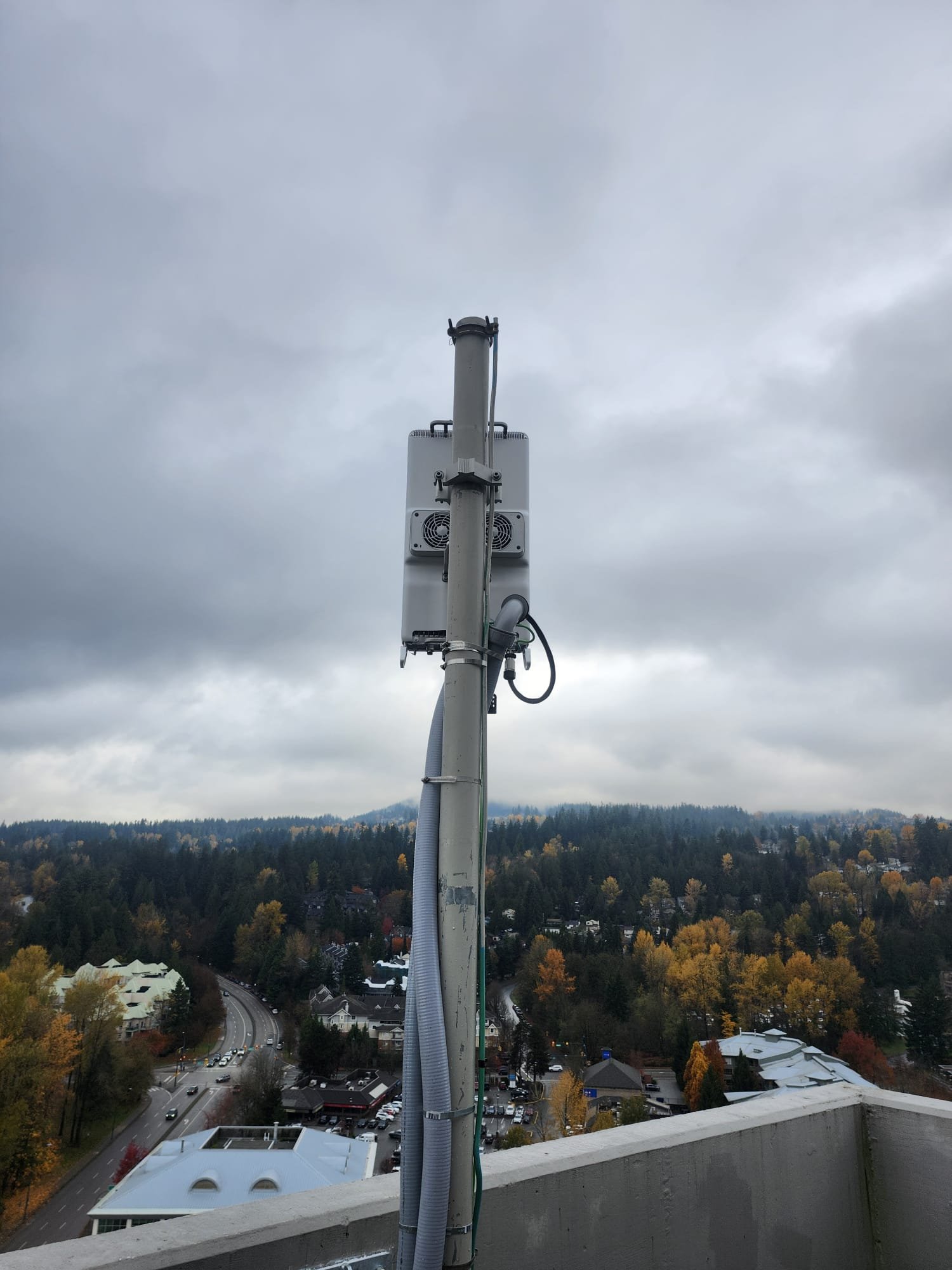 IMG-20251110-WA0010